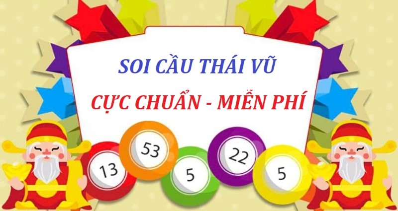 soi cầu thái vũ